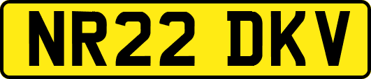 NR22DKV