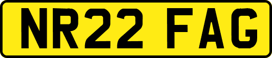 NR22FAG