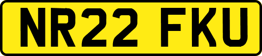NR22FKU