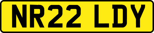 NR22LDY