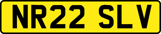 NR22SLV