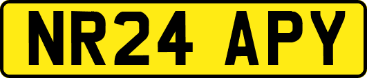 NR24APY