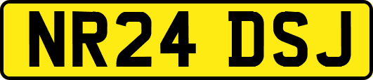 NR24DSJ