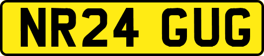 NR24GUG