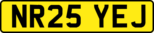 NR25YEJ