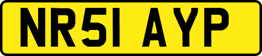 NR51AYP