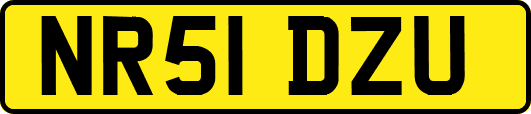 NR51DZU