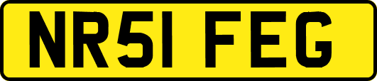 NR51FEG