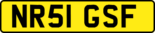 NR51GSF