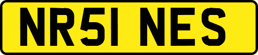 NR51NES