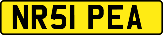 NR51PEA