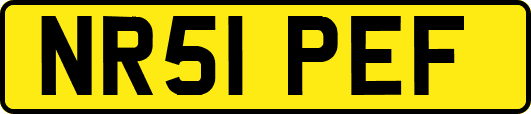 NR51PEF