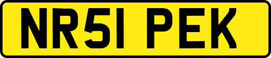 NR51PEK