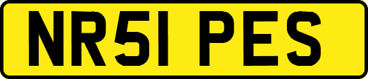 NR51PES