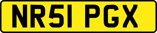NR51PGX