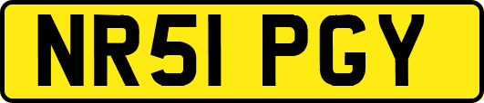 NR51PGY