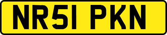 NR51PKN