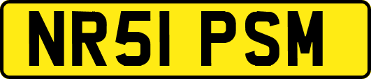 NR51PSM