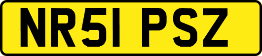 NR51PSZ