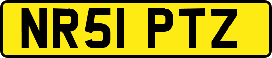 NR51PTZ