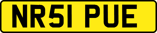 NR51PUE