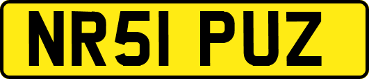 NR51PUZ