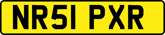 NR51PXR