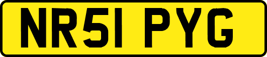 NR51PYG
