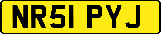 NR51PYJ