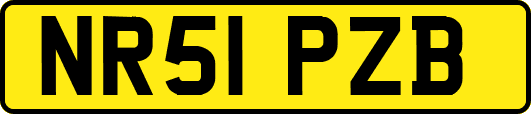 NR51PZB