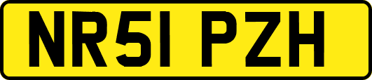 NR51PZH