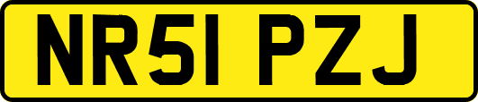 NR51PZJ