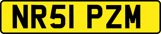 NR51PZM