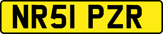 NR51PZR