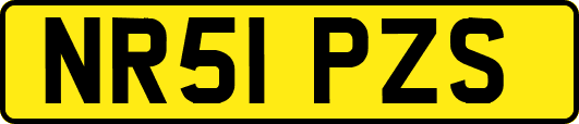 NR51PZS