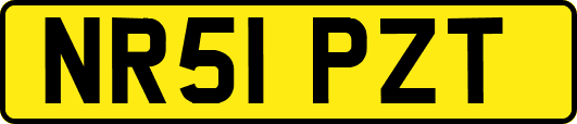 NR51PZT