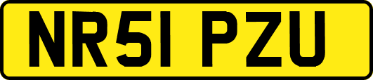NR51PZU
