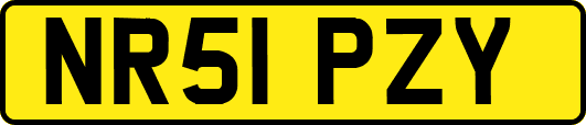 NR51PZY