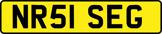 NR51SEG