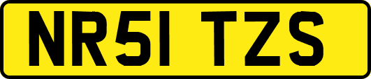 NR51TZS
