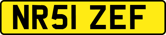 NR51ZEF