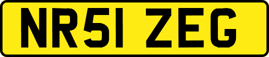 NR51ZEG