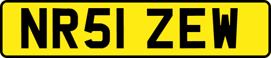 NR51ZEW