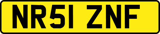 NR51ZNF