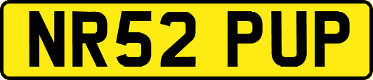NR52PUP