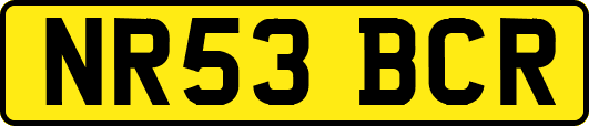 NR53BCR