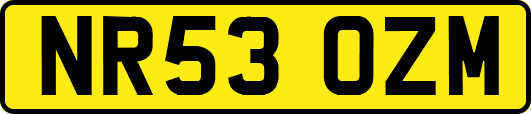 NR53OZM