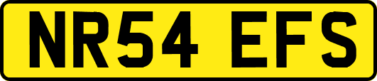 NR54EFS