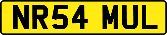 NR54MUL