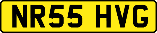 NR55HVG